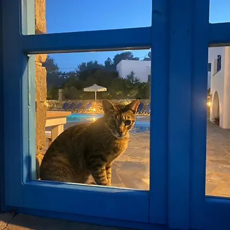 Iliopetra * Chrisi Akti (Paros)