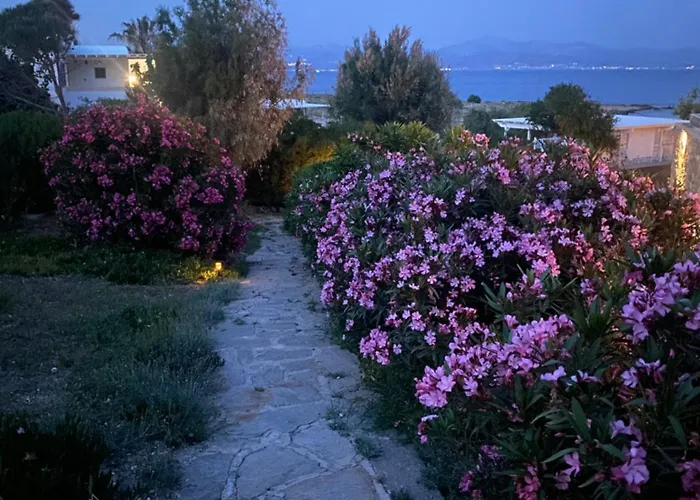 Iliopetra Lägenhetshotell Chrisi Akti (Paros)