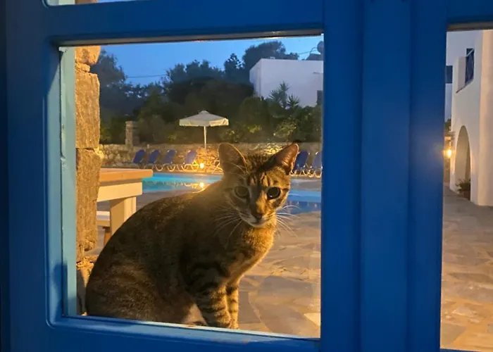 Iliopetra 3* Chrisi Akti (Paros)